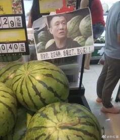 哈哥吃瓜,揭秘娱乐圈那些不为人知的幕后故事