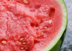 杭州吃瓜一线,揭秘网红美食背后的故事