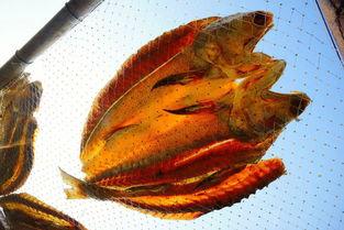 翻身吃瓜,揭秘娱乐圈的逆袭与甜蜜