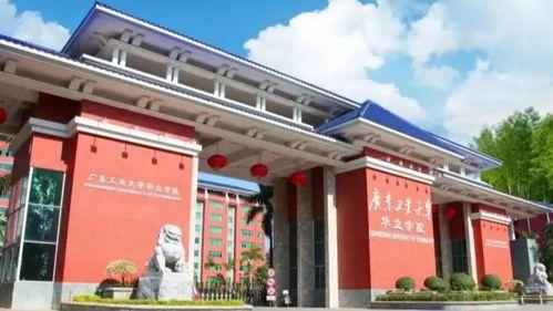 广州华立学院吃瓜,揭秘校园热点背后的真相