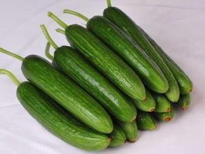 小菜吃大瓜,一场味蕾的奇妙之旅