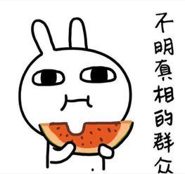 超级吃瓜台词大全搞笑,让你笑到肚子疼